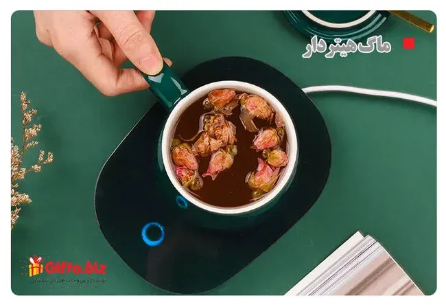 خرید ماگ هیتردار