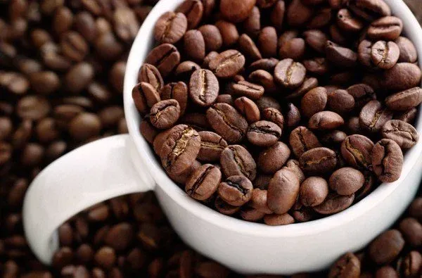 نمایشگاه قهوه و چای