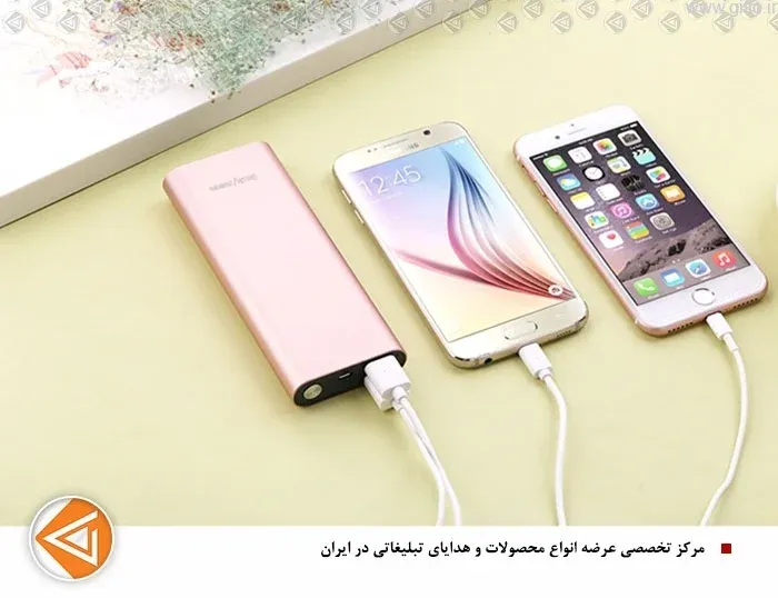 پاوربانک بسکی Besky