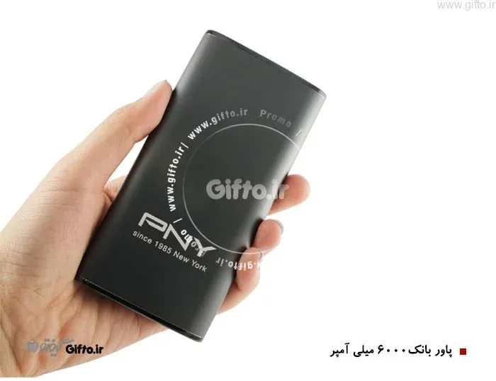 پاوربانک 6000 - T601 PNY
